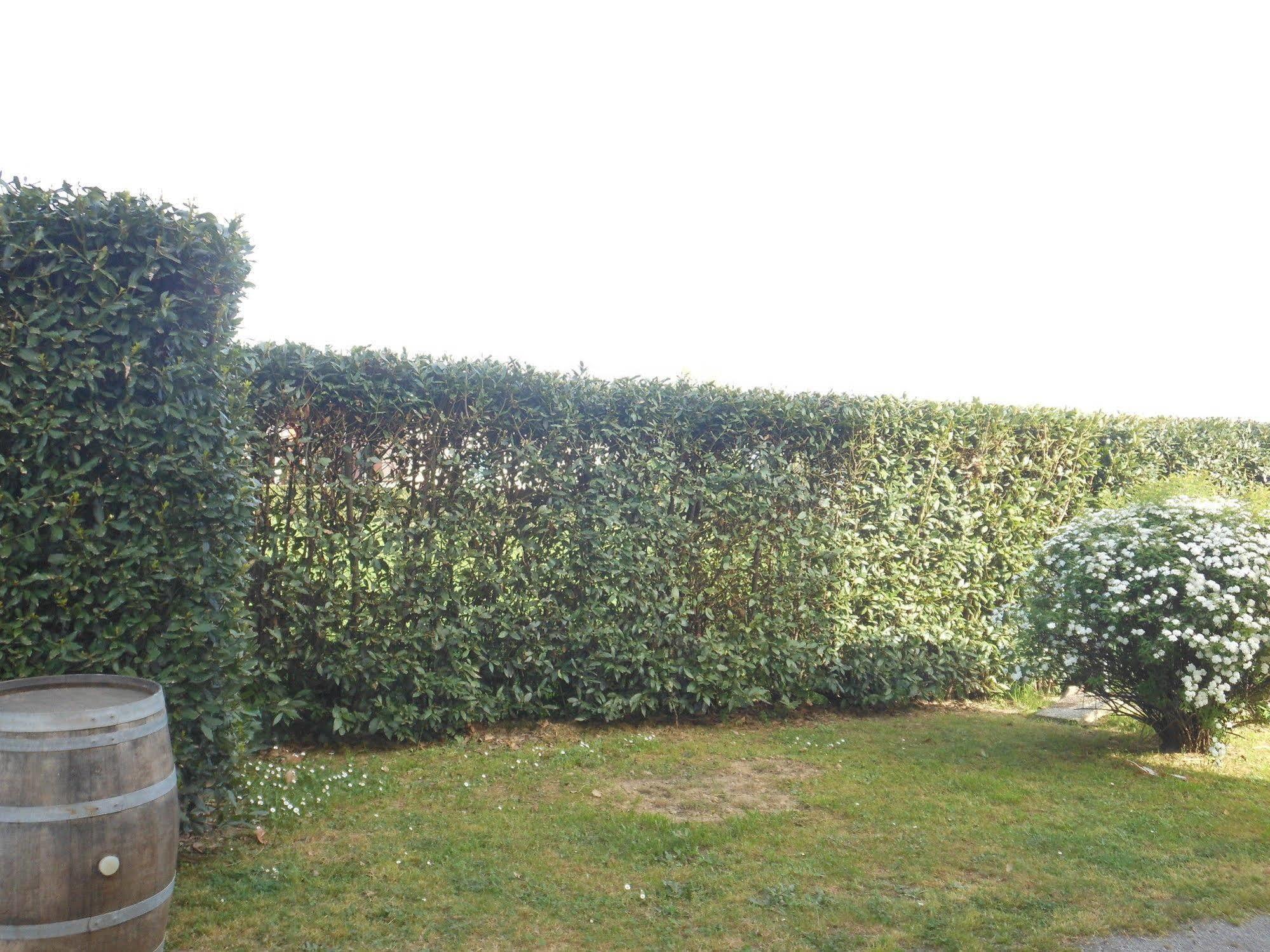 B&B La Corte Capannori Bagian luar foto